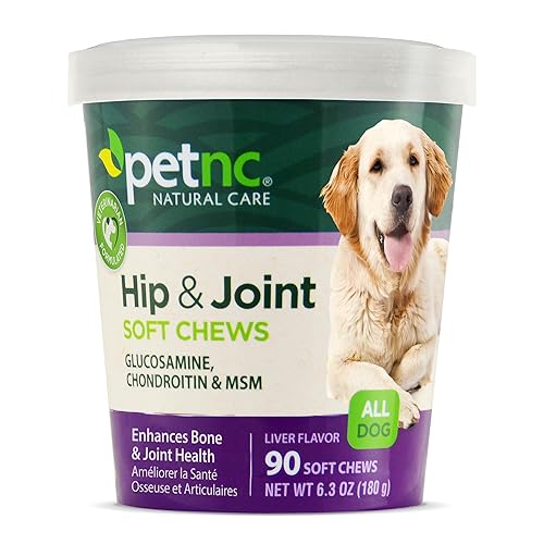 Hip & Joint Supplement for Dogs ♡ ⋆。˚