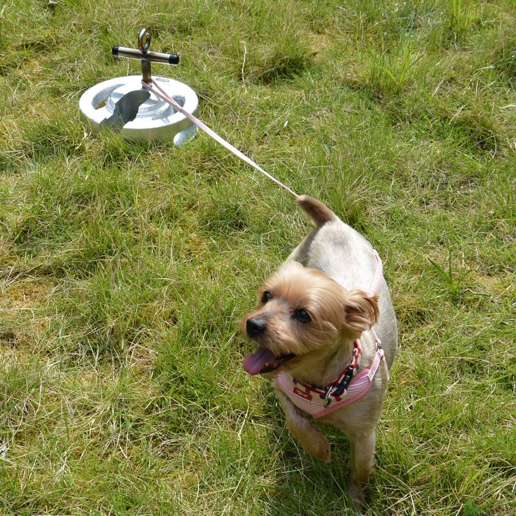 Amazon Co Jp 愛犬係留用アンカー おもりda ダ ワン ｋｇ ペット用品