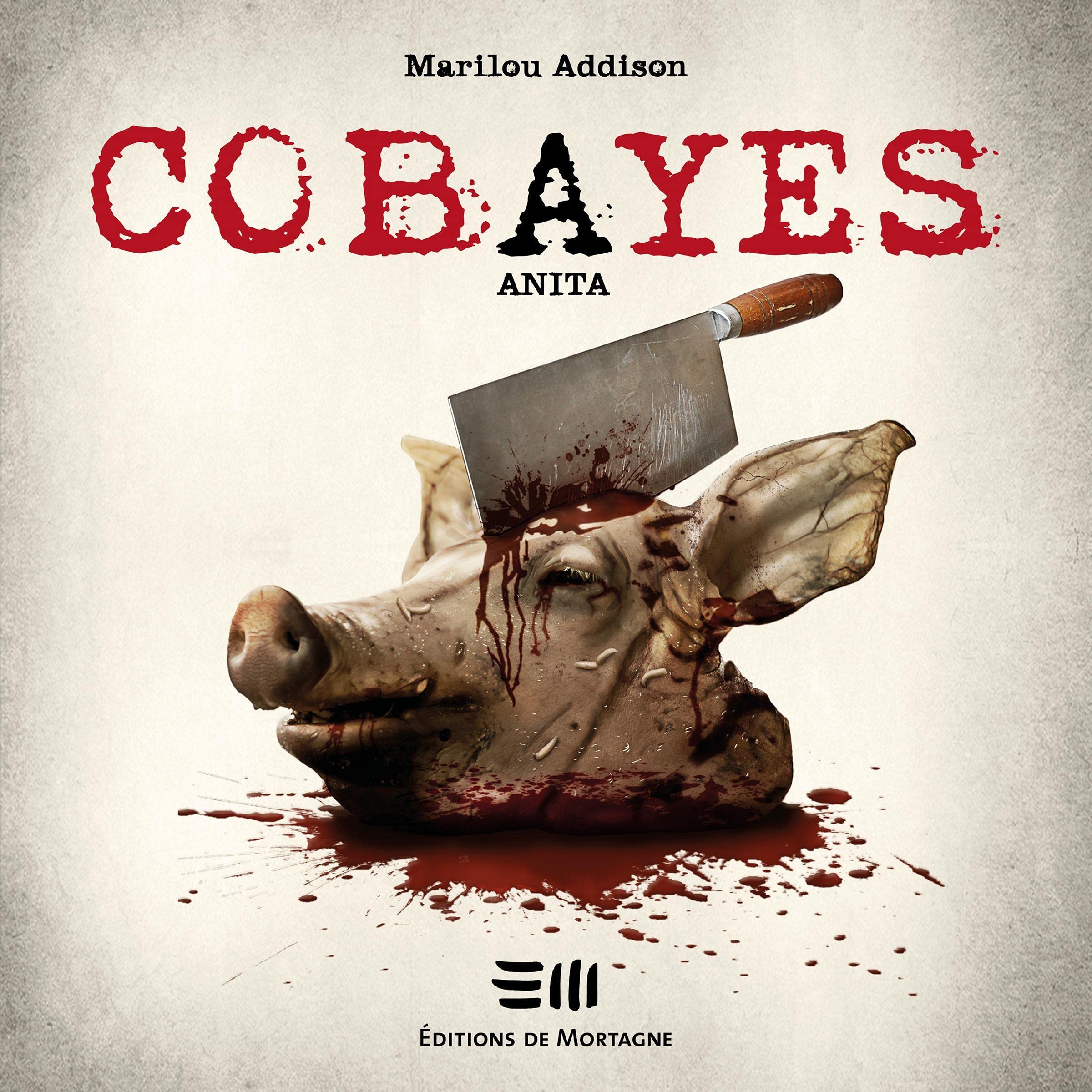 Cover art for Anita (French Edition)