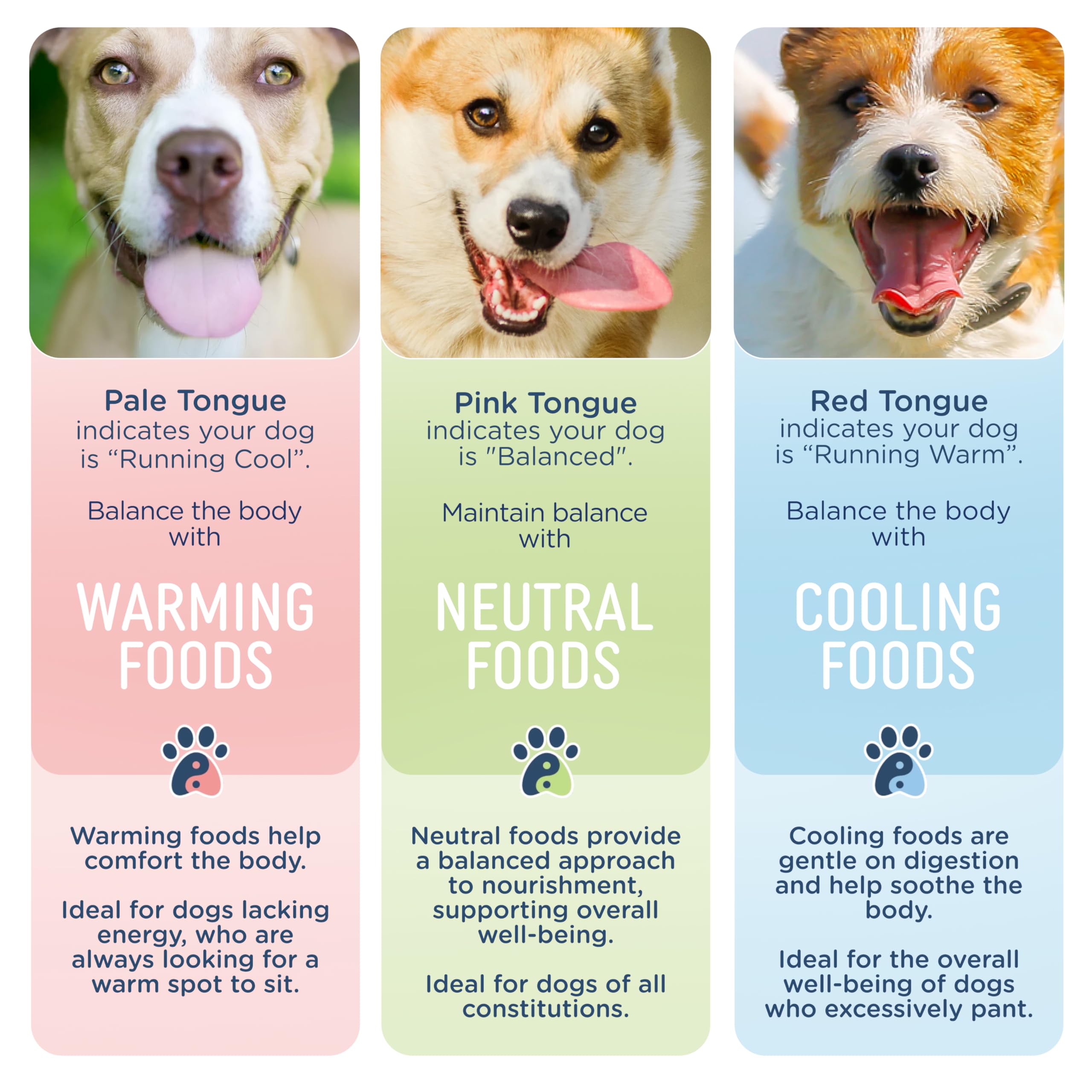 Side by Side Duck Bowl Booster, Freeze-Dried Raw Superfood, Cooling Dog Food Topper for All Breeds, Made of Whole Foods, Every Ingredient Has a Purpose, No Artificial Additives, 4 oz, Pack of 2