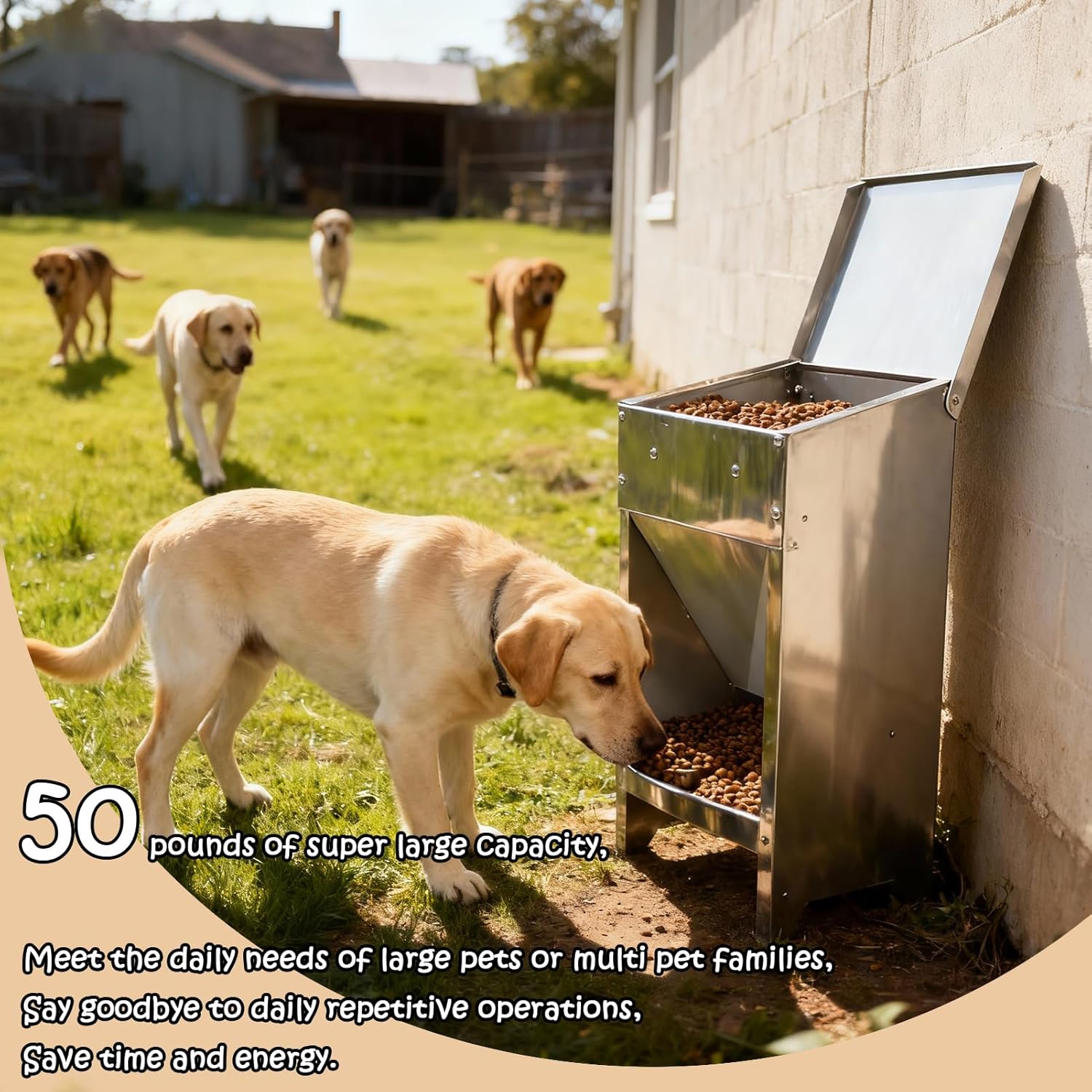 Dog Food Feeder for Kibble - (Stainless Steel Natural Color Anti-Corrosion) - Automatic Food Dispenser Gravity Self Feeding Outdoor for Medium, Large Dog Breedss - 25Lbs New Upgrade