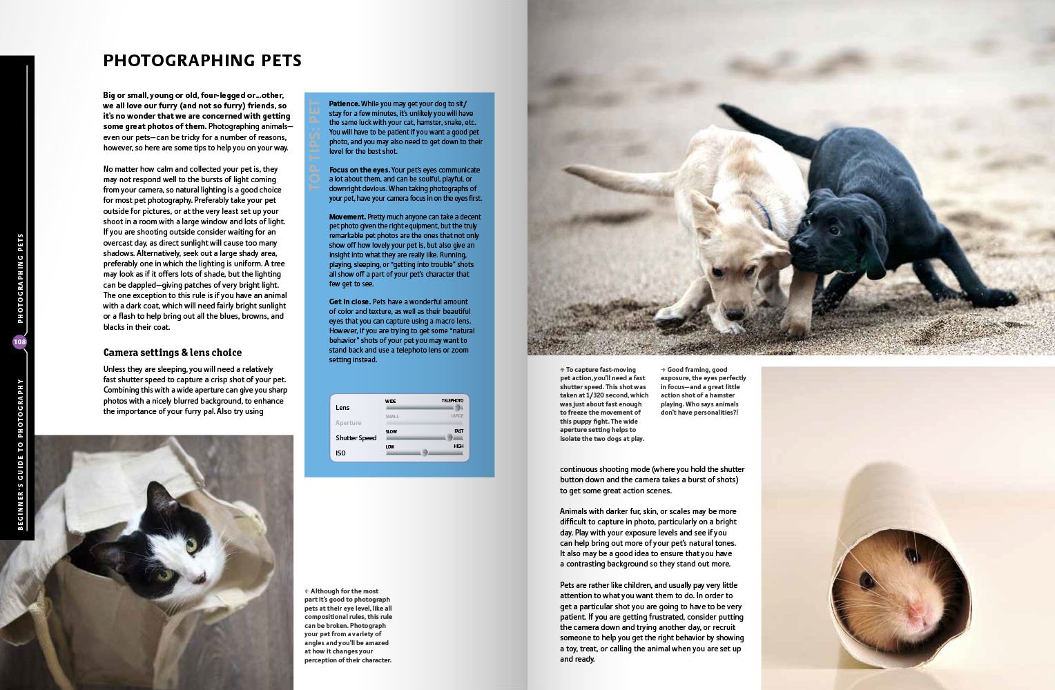 The Beginner's Guide to Photography: Capturing the Moment Every Time, Whatever Camera You Have