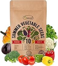 Navika Seeds 10 Packets Of Organic & Hybrid Summer Vegetable Seeds For Home Garden & Planting For Pots And Patio- Includes Free Growing Guide For Kitchen Gardening (10 Summer Vegetables Seeds)