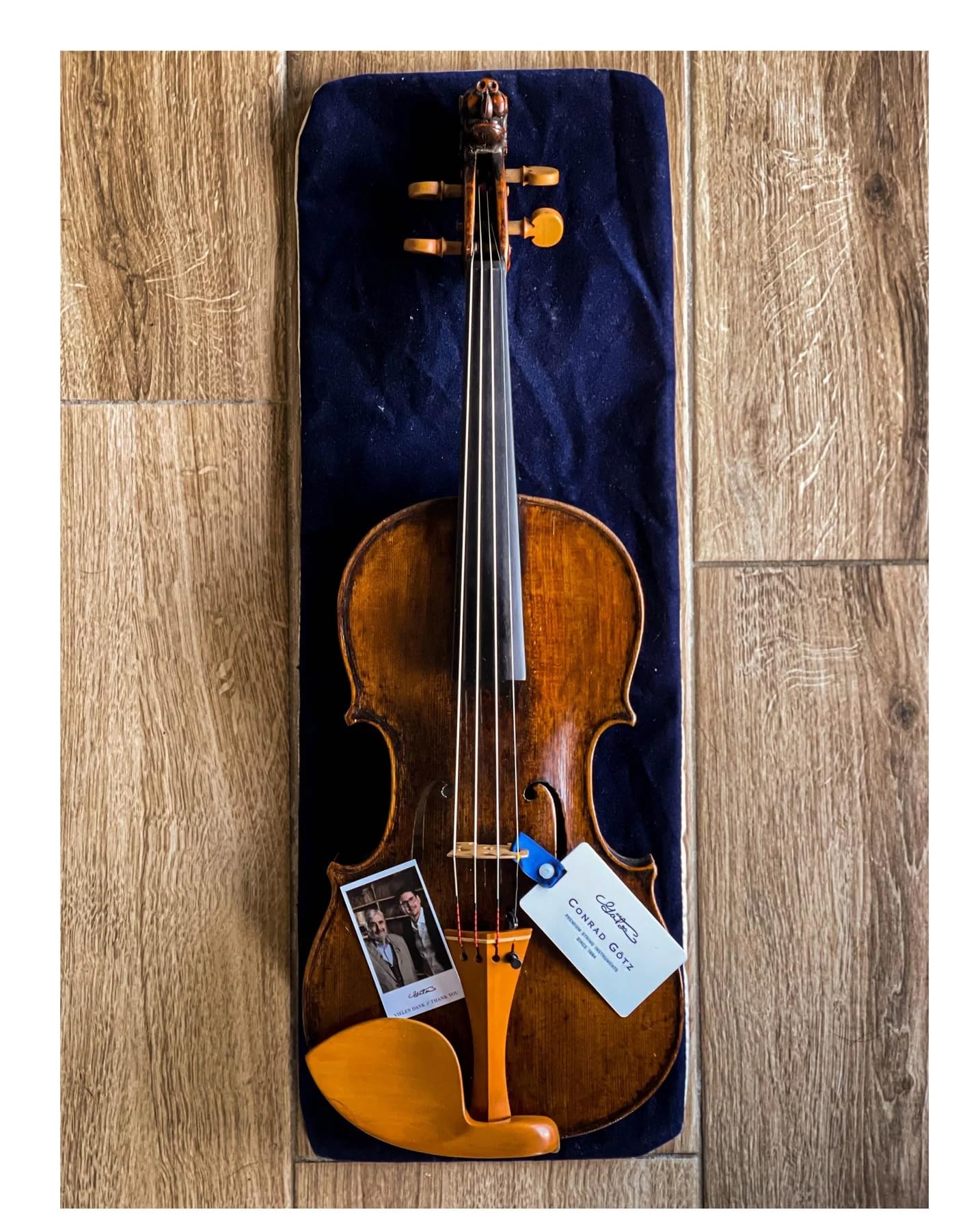 Conrad Gotz ZK1597G mentoniera per violino Guarneri, bosso