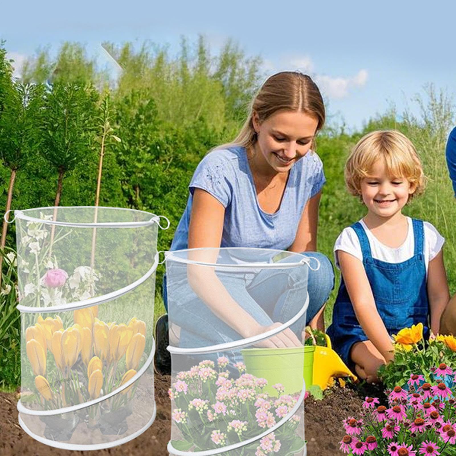 Protection Maillée Végétale | Enclos Maille Végétal Pop-Up - 4 Protections Pliables Anti-Insectes Et Oiseaux pour Myrtilles Légumes Fruits Fleurs