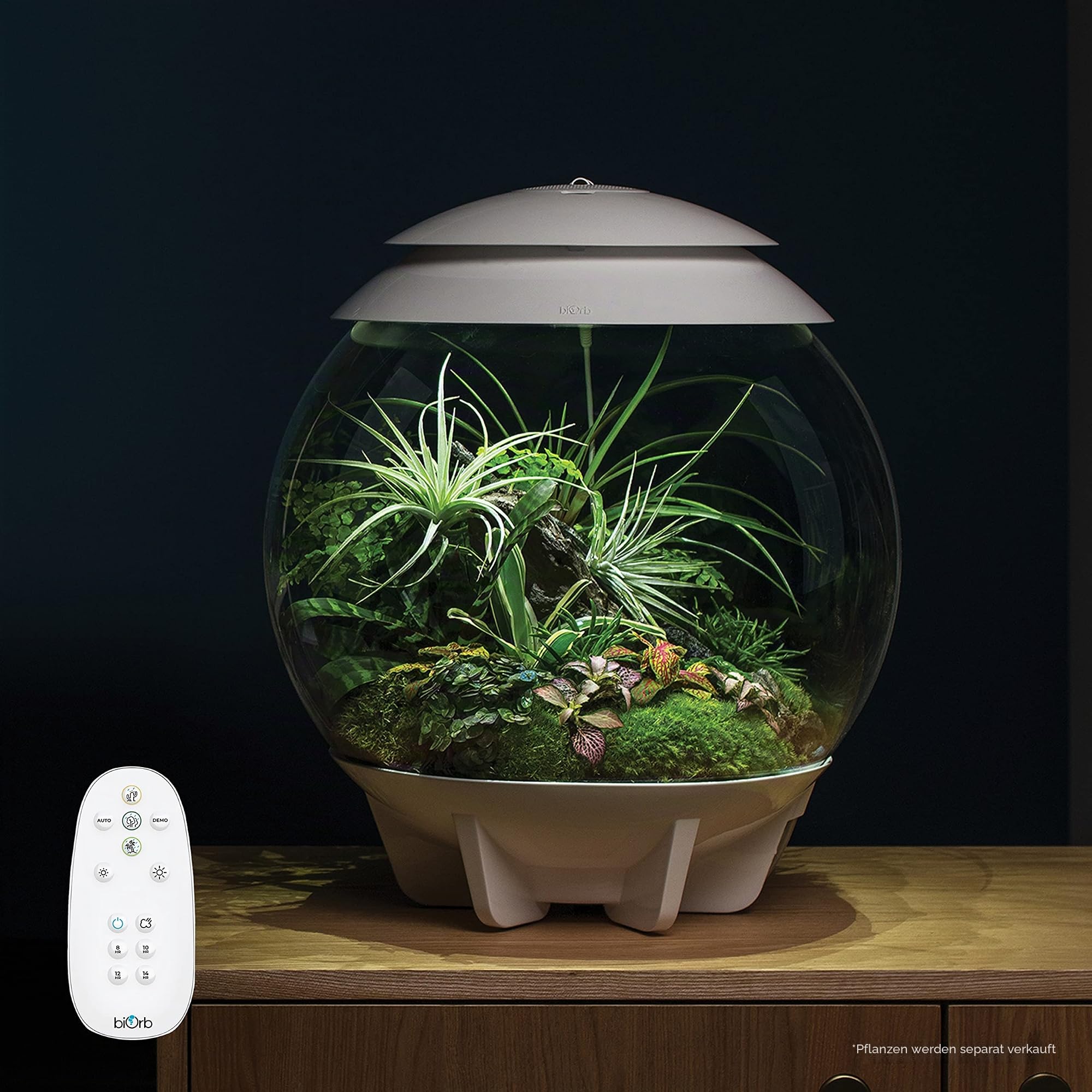 biOrb 71748 AIR 30 weiß - automatisiertes Terrarium mit LED-Beleuchtung, Acryl-Becken zur Pflanzenpflege, für empfindliche und exotische Pflanzen