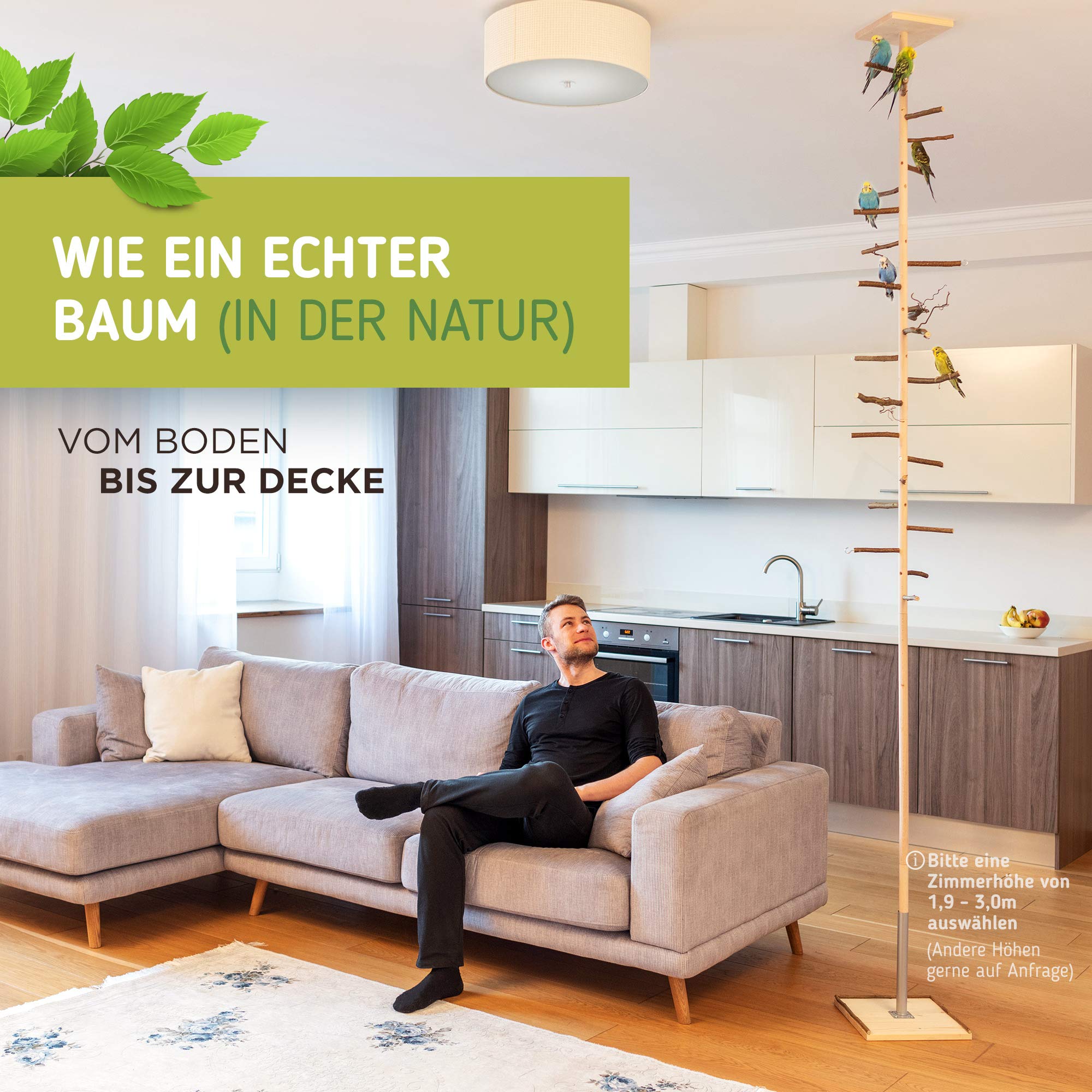 Vogelgaleria® Zimmerhoher Vogel Kletterbaum selbst konfigurierbar mit Naturholz-Sitzstangen, Vogelspielzeug, Vogelschaukel | Vogelspielplatz und Freisitz für Wellensittich, Nymphensittich & Co.