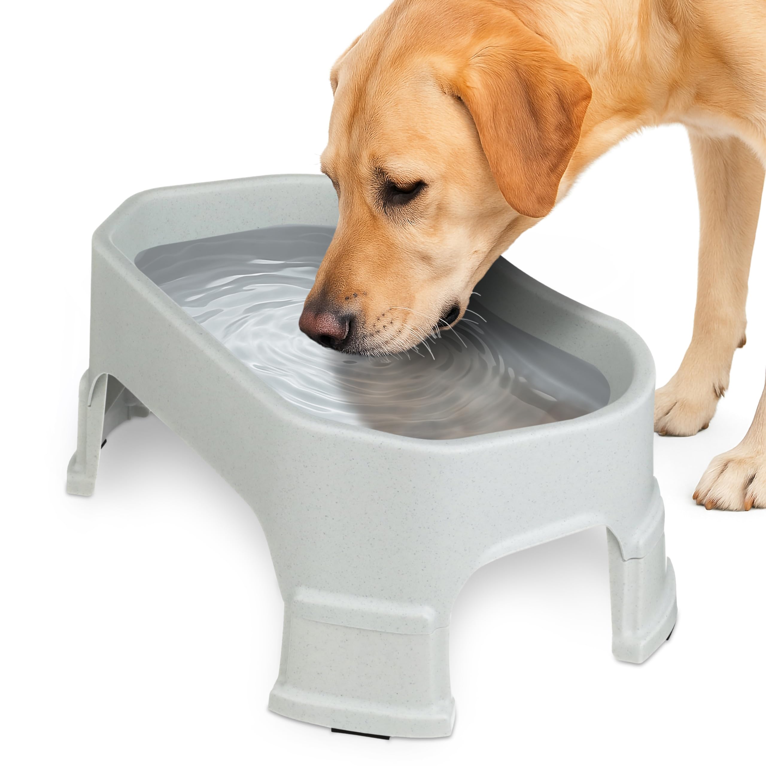 Neater Pet Brands Large Water Bowl for Dogs, Raised Outdoor Dog Water Bowl (1.25 Gallon XL Capacity), Big Trough Style Food Dish for Indoors or Outside, No Spill Large Dog Bowls, Vanilla Bean