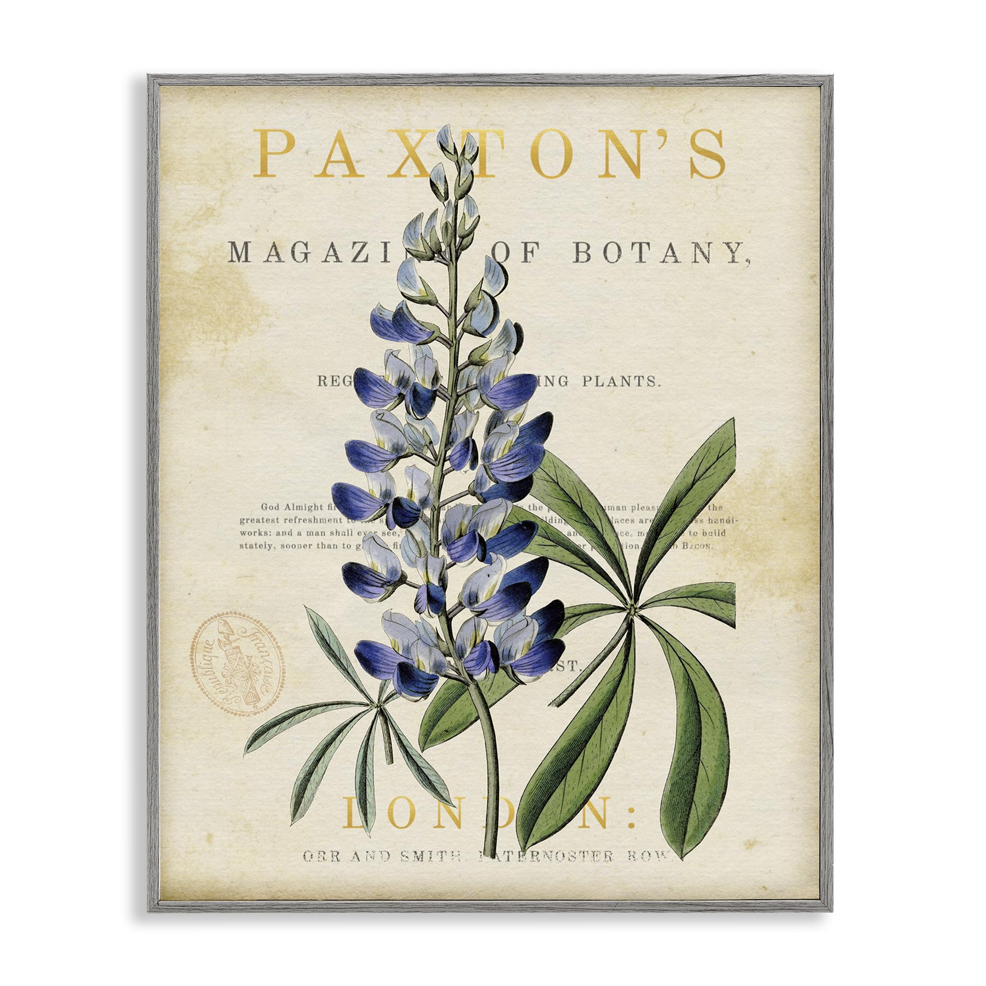 Stupell Industries Farmhouse Gray (Textured) 'Natural Botany Lupine'| Framed Giclee Art
