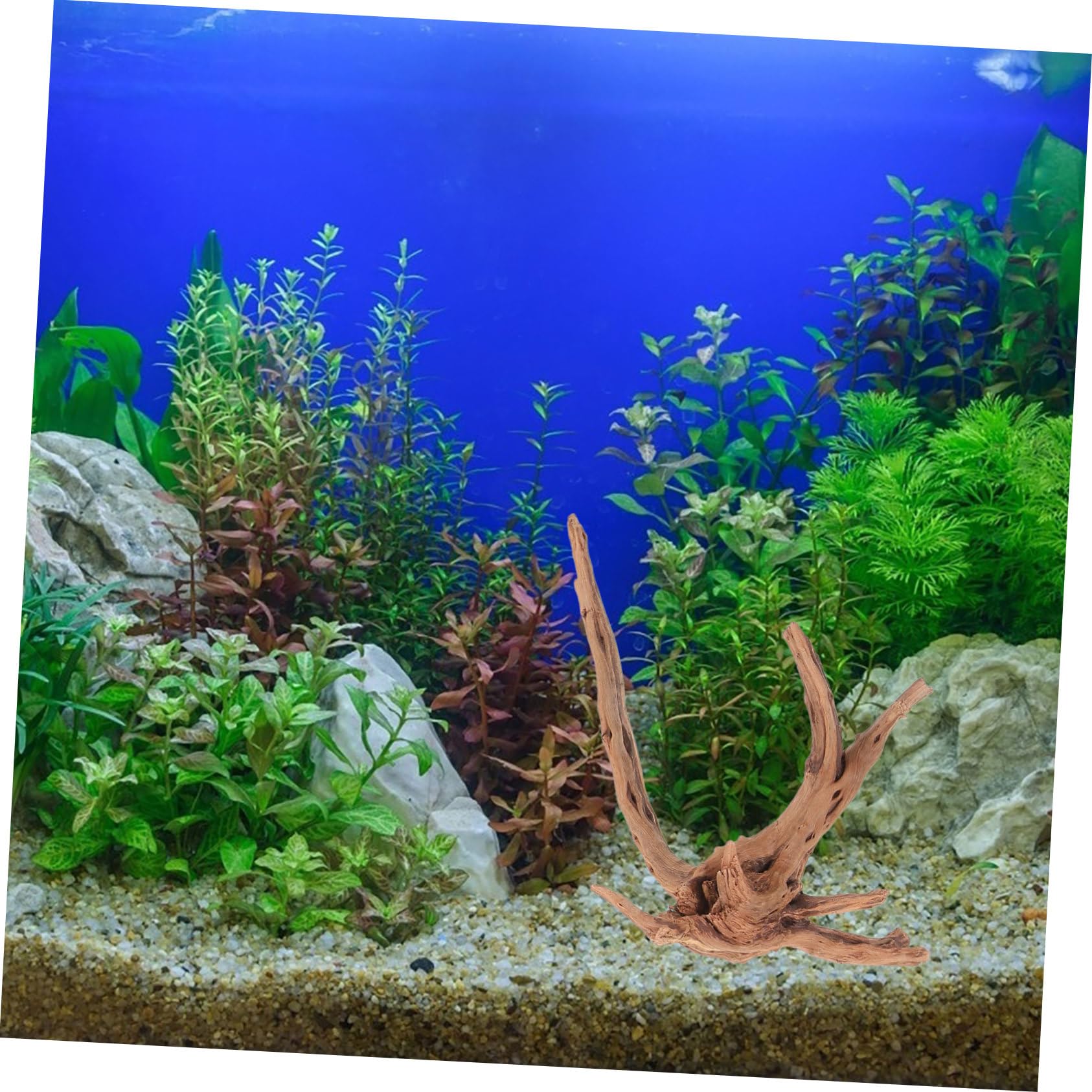 ibasenice 3piezas Madera Flotante para Pecera De Decoraciones De Madera Natural para Acuarios Adornos De Flotante para Paisajes De Peceras para y Terrarios De Reptiles