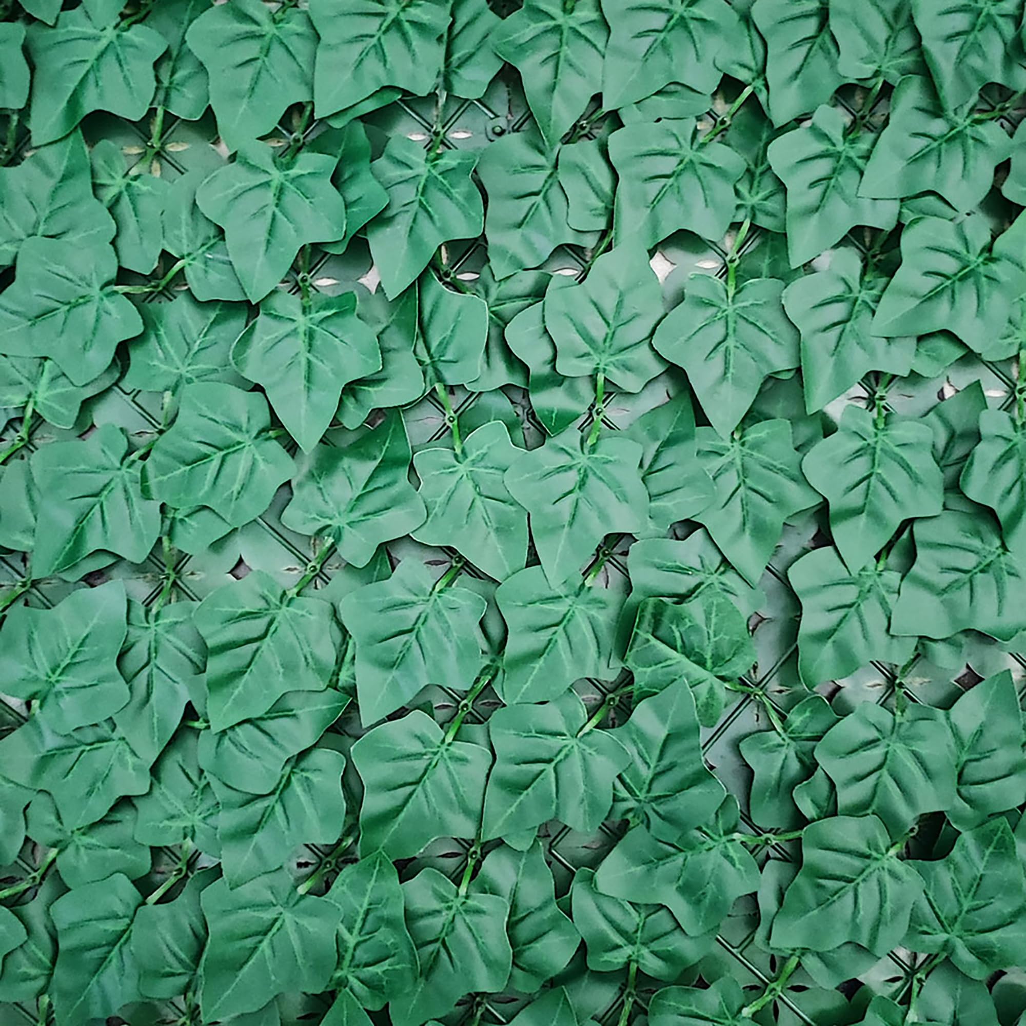 TENAX Divy Hedera Plus 100x300 cm Verde, Siepe Sintetica con Foglie in Polietilene Tipo Edera a Schermatura Totale per Balconi, Giardini e Recinzioni