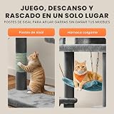Ver la foto 8