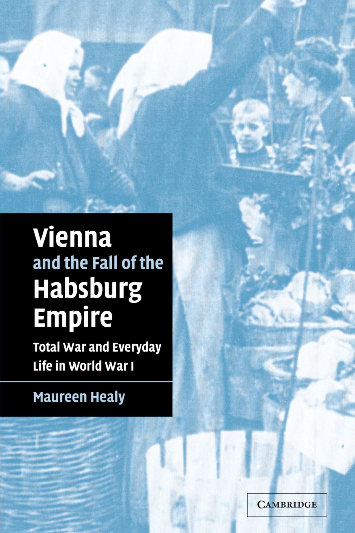 Vienna and the Fall of the Habsburg Empire: Total War and Everyday Life in World War I: 17