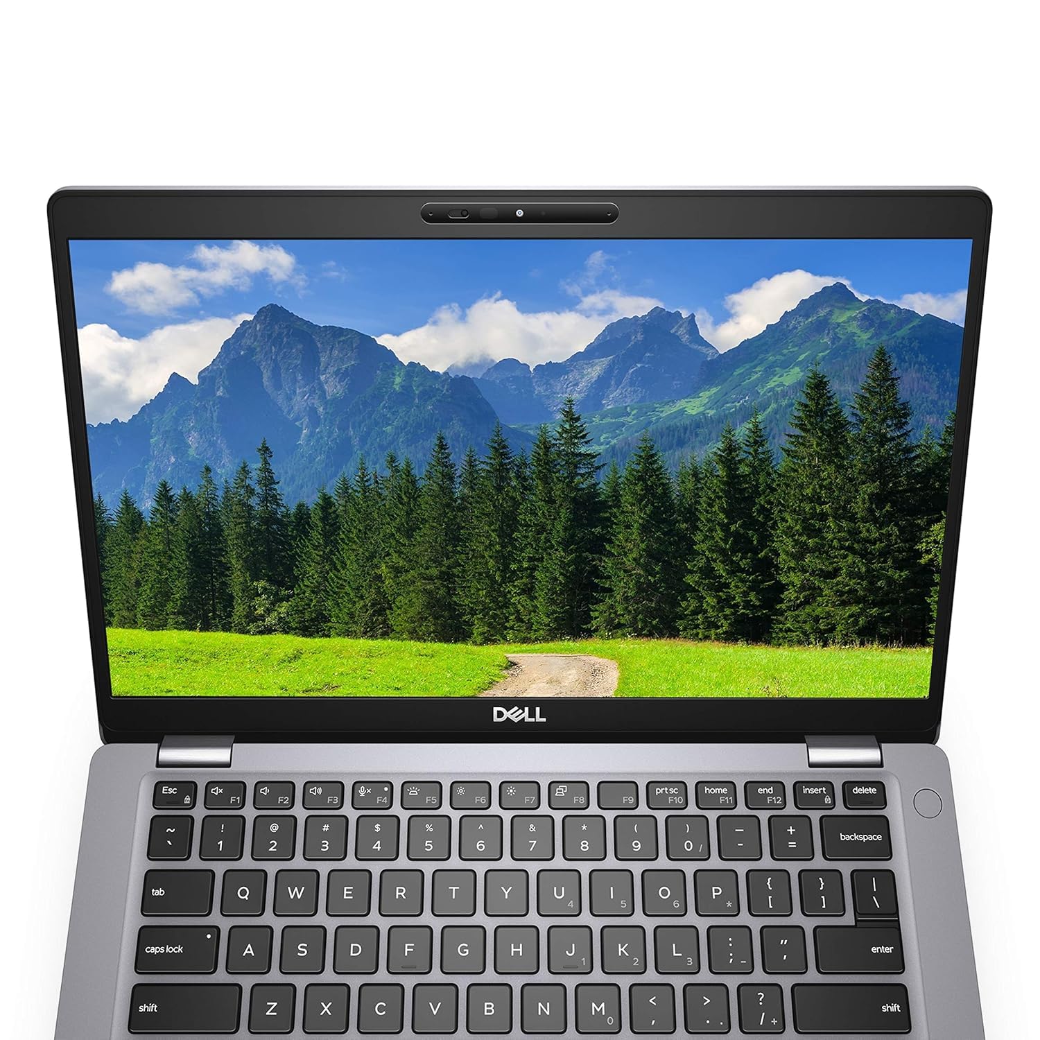 Amazon.com: Dell Latitude 5411 14