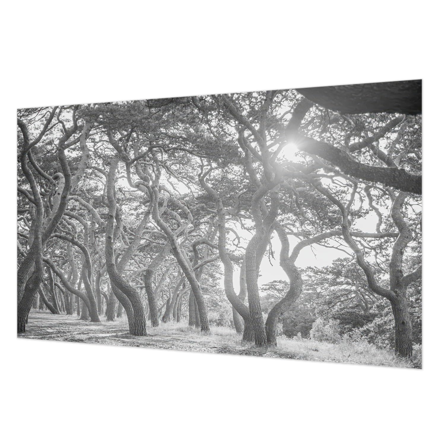 Tapisserie intissée forêt pour créer une ambiance naturelle dans la chambre à coucher