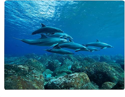 Vista 18 de Lighthouse Coastal Shoreline Waves Sandy Beach Tabla de cortar de vidrio para cocina, regalo decorativo para el océano, olas del faro Ondas