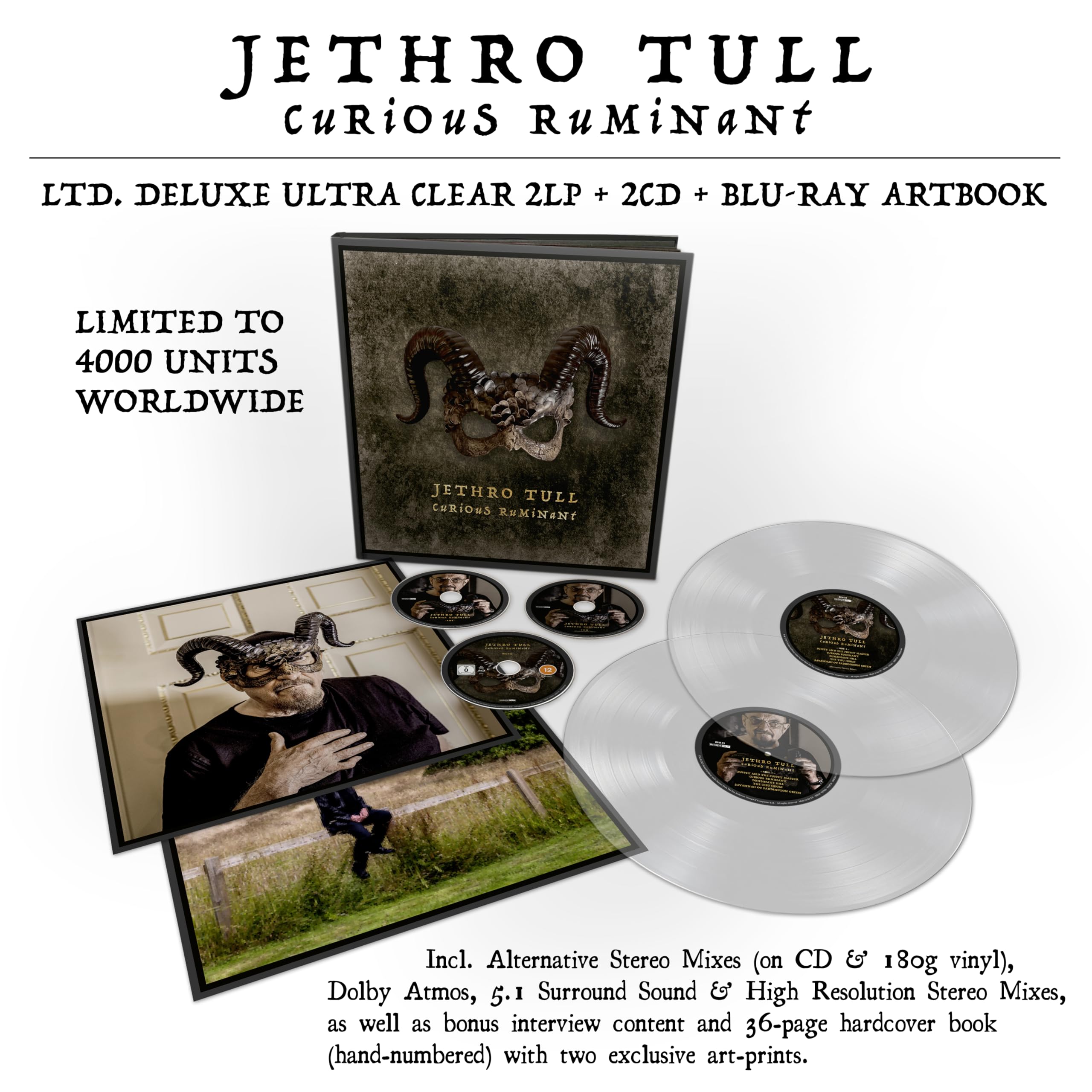 Curious Ruminant [VINYL]