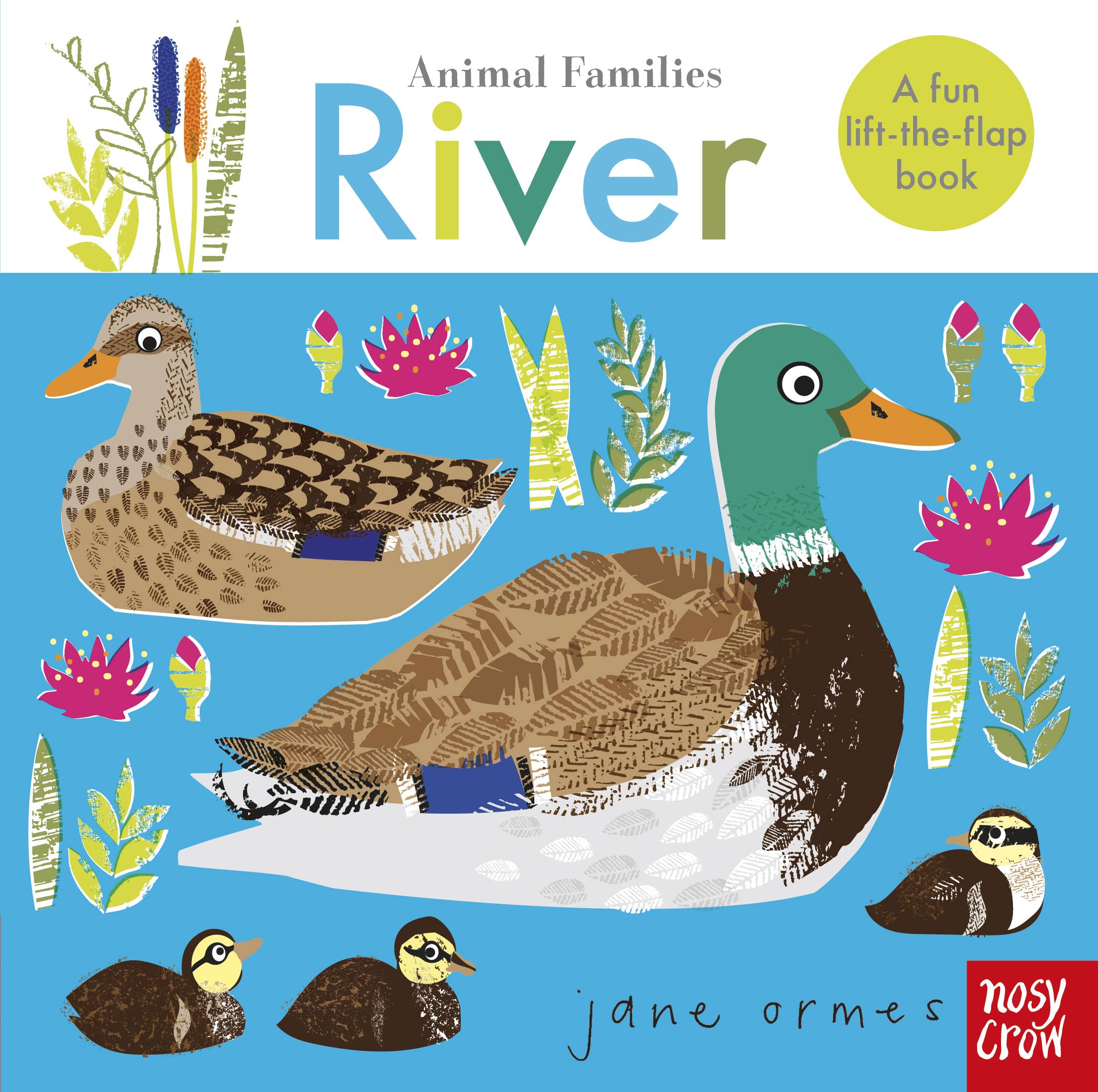 Animal Families: River by Jane Ormes (Board book)
