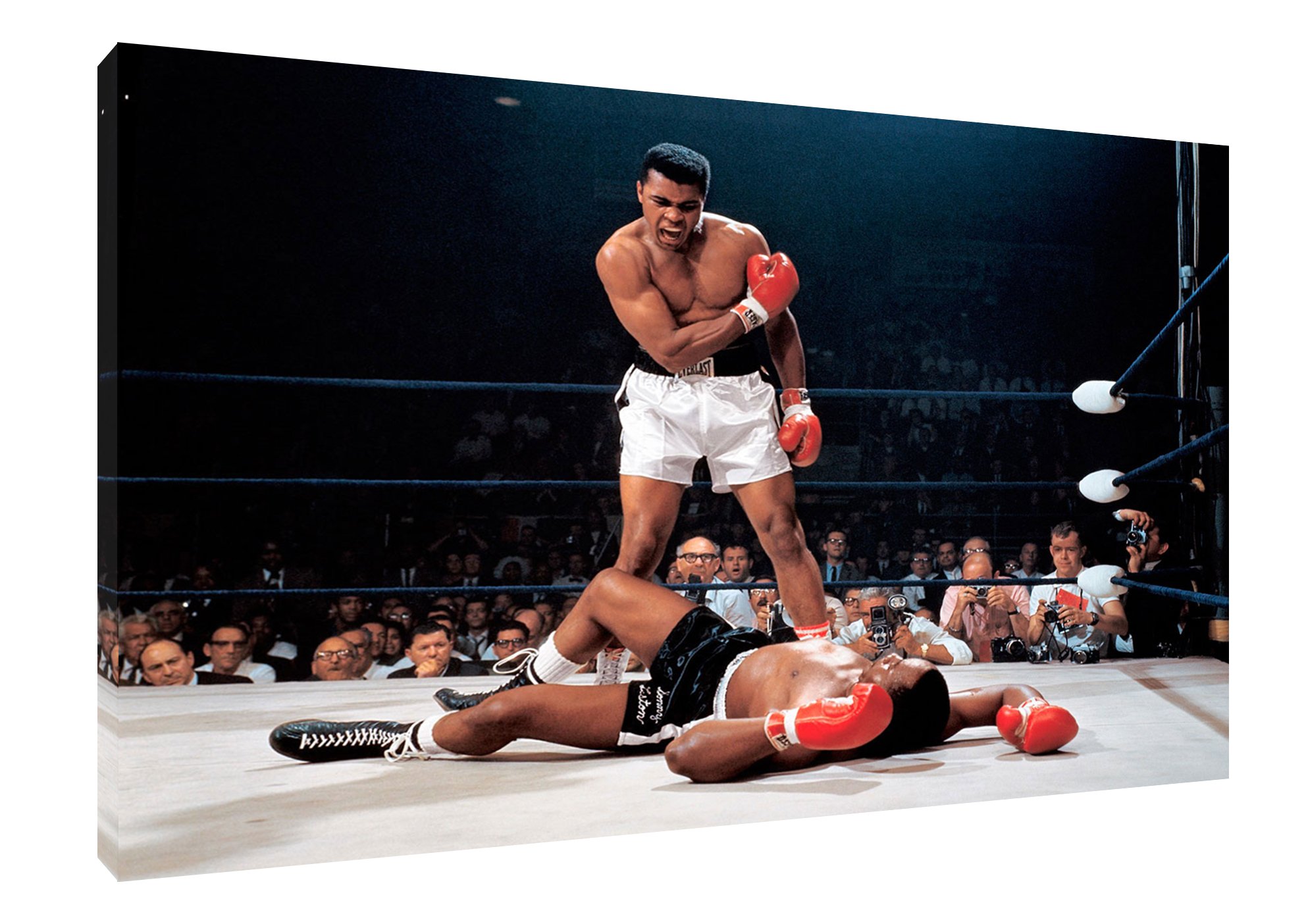 Artsprints White Muhammad Ali Defeating Boxing Photo Print On Framed Canvas Wall Art 12X 8Inch -18Mm Depth