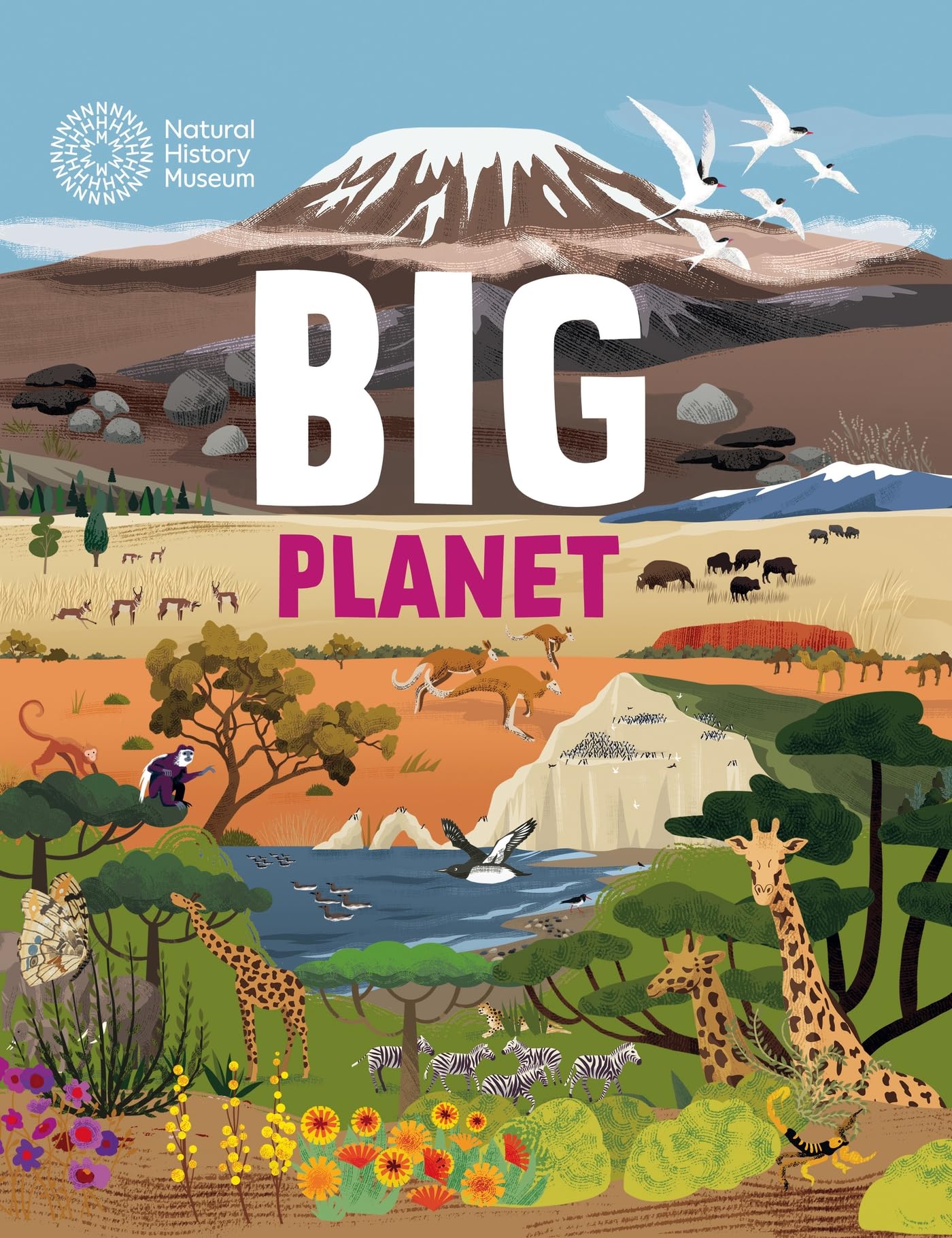 Big Planet by Jon Richards (Paperback Book)