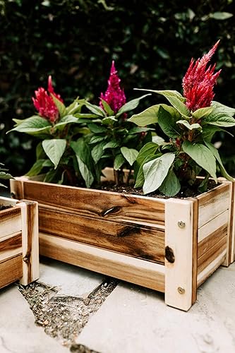 Miniatura 7 de Cajas de madera para flores, juego de 2, macetas de ventana de 17 y 16 pulgadas para interiores, exteriores, terraza o jardín