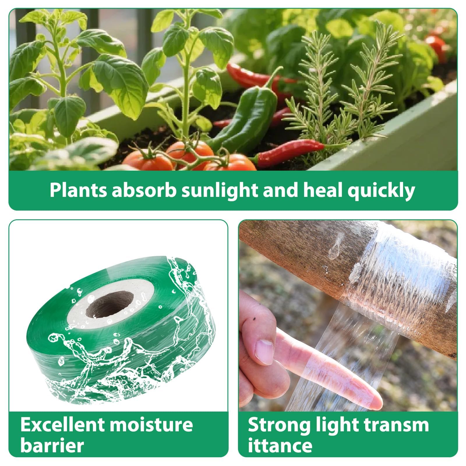 Cinta de Injertar Transparente Árboles de Jardín, 4 Rollos, Biodegradable Cinta Injerto Autoadhesivo, para Árboles Frutales, Plántulas, Flores y Viveros