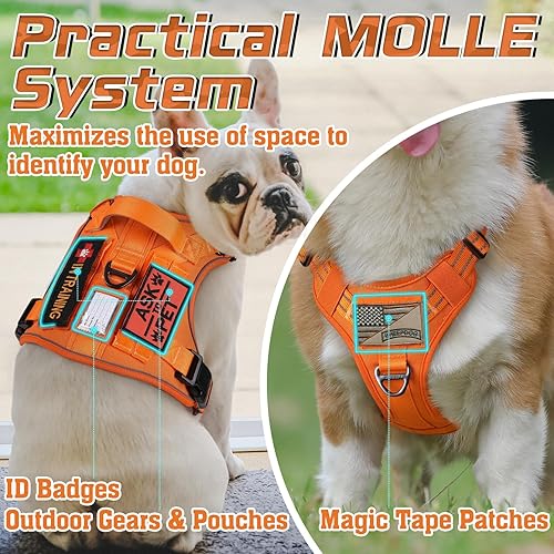 Miniatura 4 de rabbitgoo - Arnés táctico para perros pequeños, chaleco de servicio militar sin tirones con asa y equipo Molle, fácil control para entrenar y