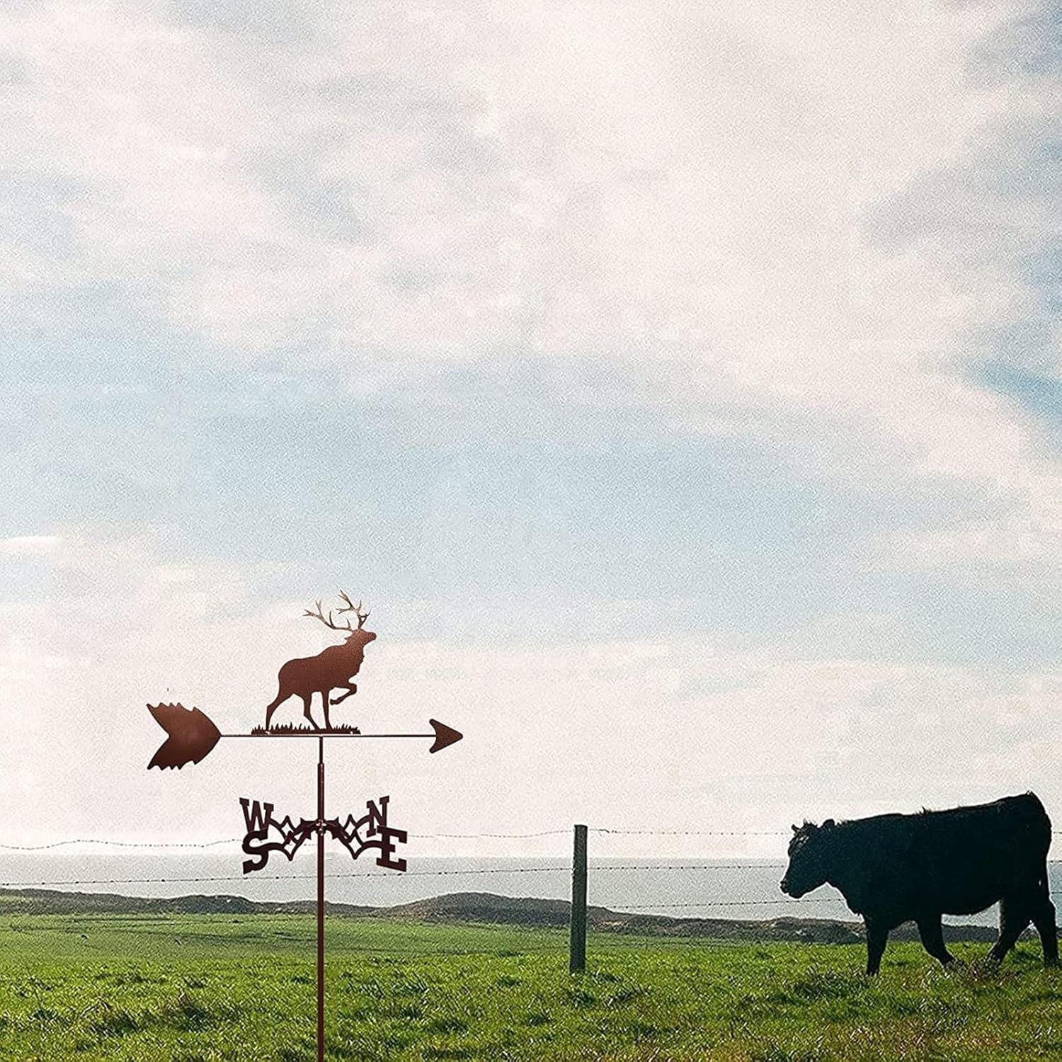 動物金属風見鶏、ヴィンテージ風見鶏風見鶏中空風向計風見鶏、屋外庭屋根パドック装飾用