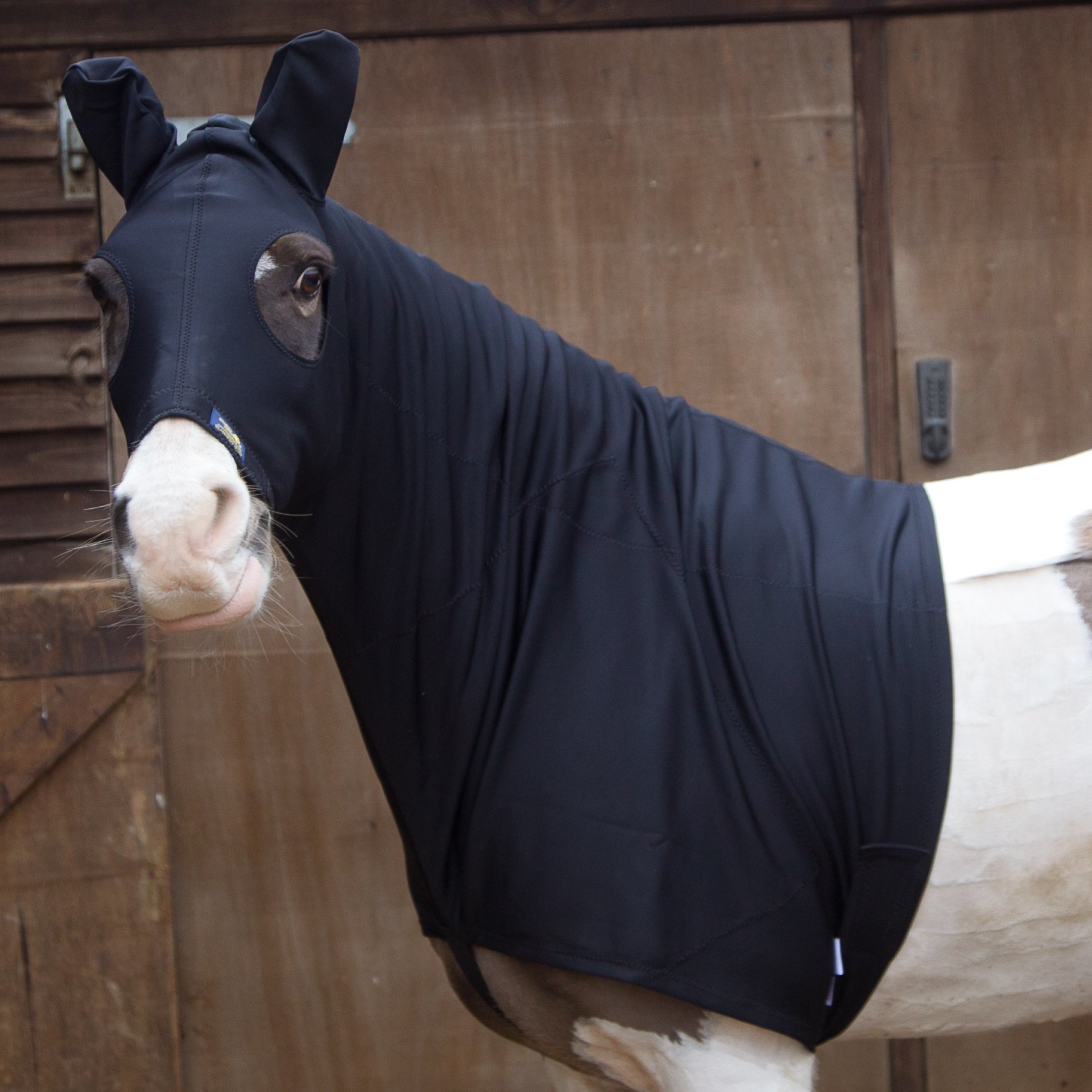 Turn Out Weatherproof Horse and Pony Hood (NAVY, S) โ image 1