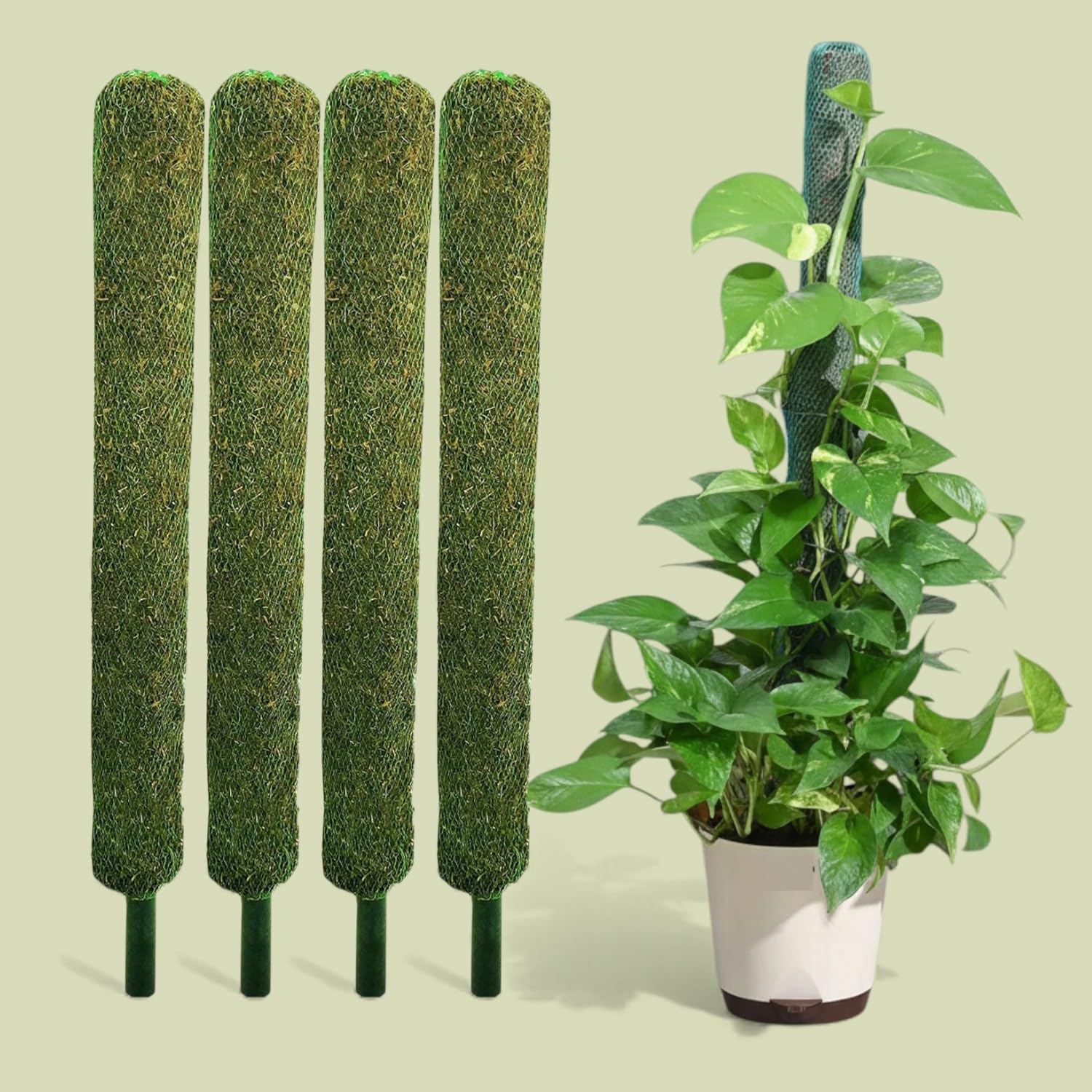 Bhajanlal Greenery Moss Stick/Coco Pole for Climbing Indoor & Outdoor Plants | Green Grass Pole for Housing Plants, Creeper Support | Moss Stick (3FT (Pack of 4))