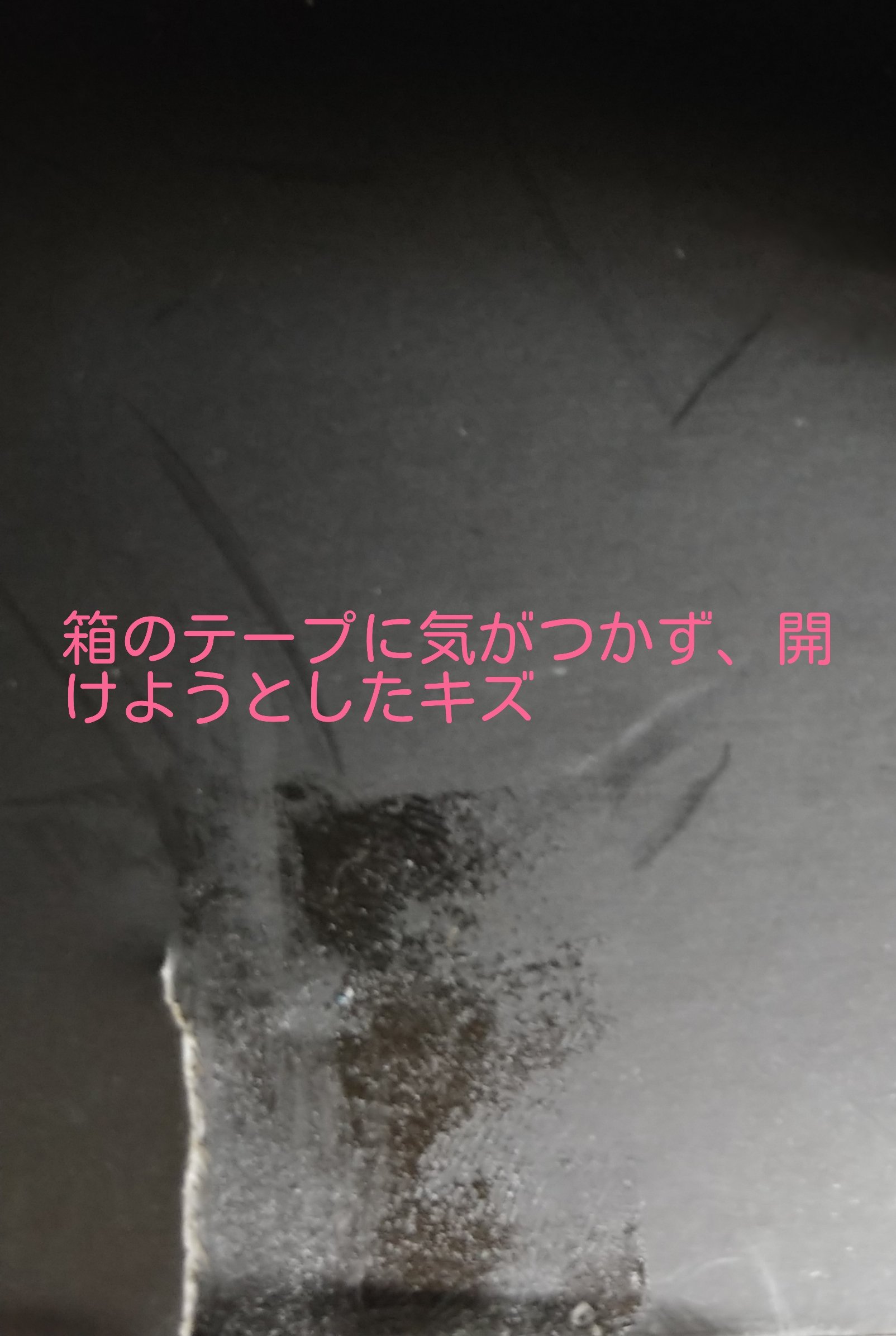 Amazon.co.jp: MASTER PRODUCT GANTZ：O Xガン(メガトレショップ限定 