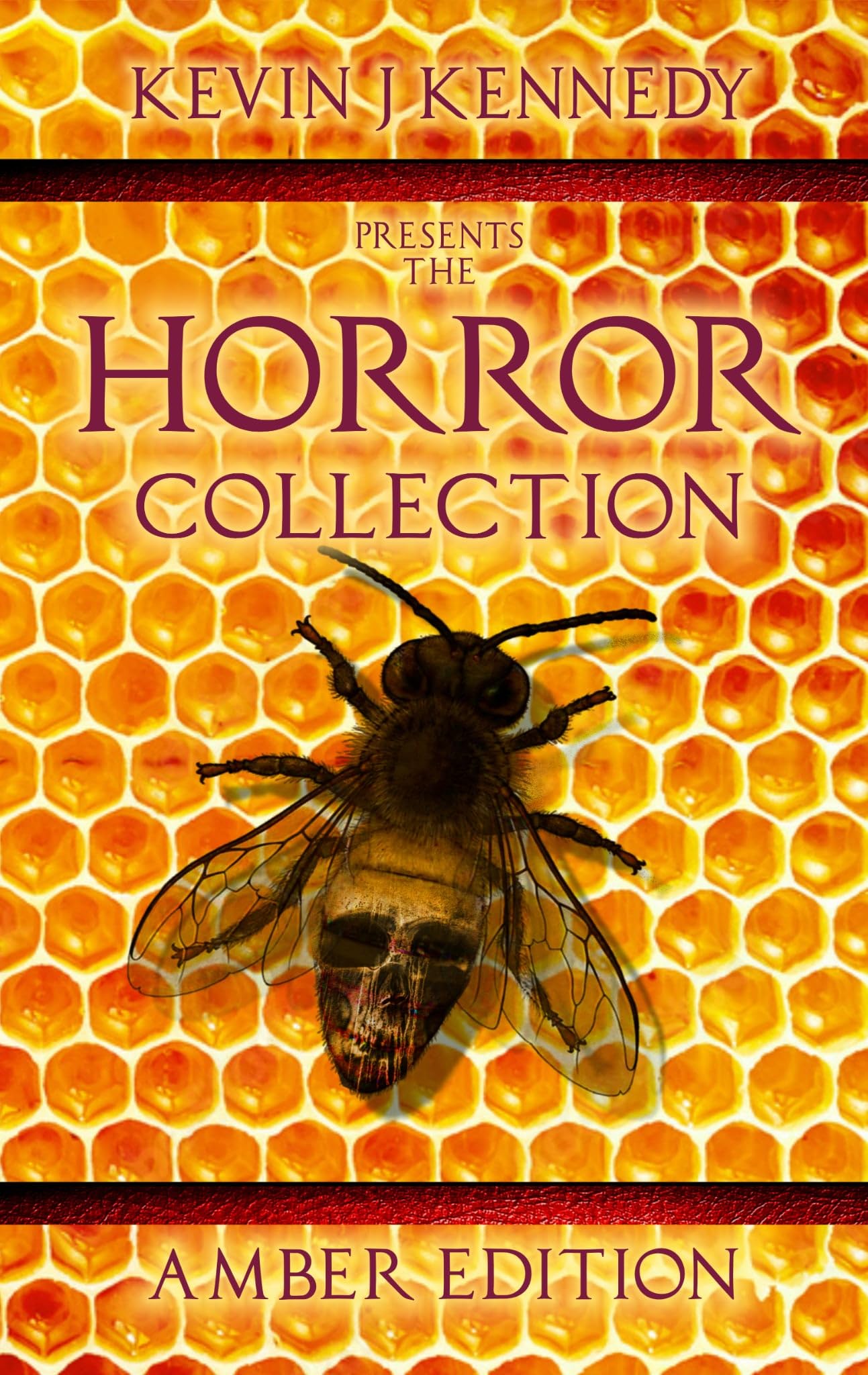 Cover of Amber Edition