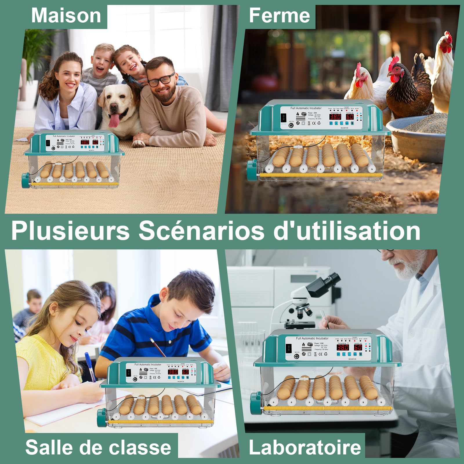 CoInceptus Couveuse oeuf automatique Incubateur 24-36 Oeufs | Retournement auto ajout d’eau auto affichage température/humidité régulation thermique pour œufs poule canard oie caille