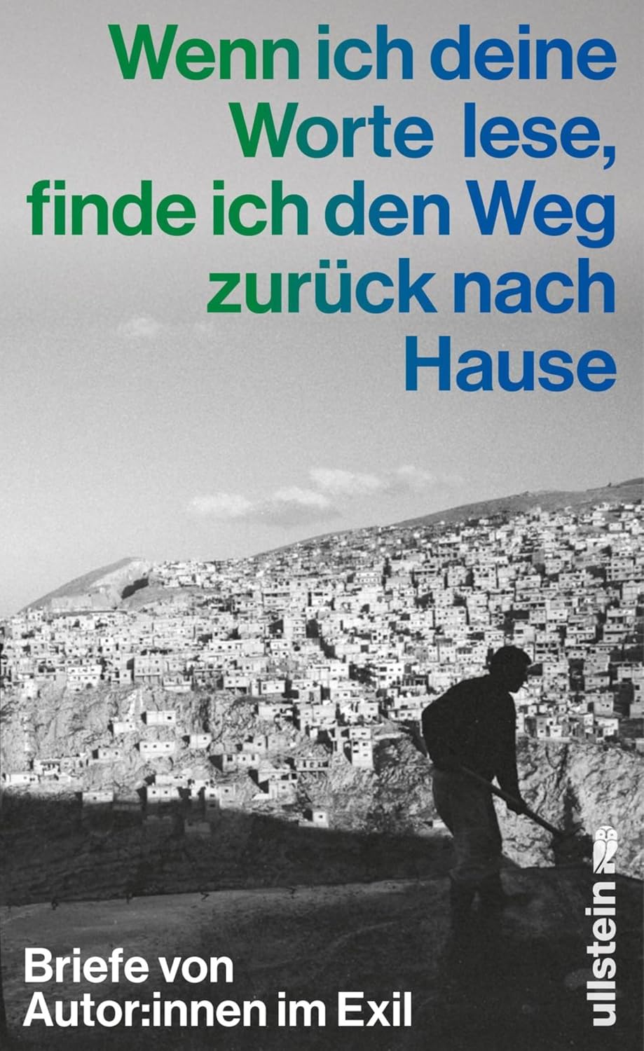 Wenn ich deine Worte lese, finde ich den Weg zurück nach Hause: Briefe von Autor:innen im Exil | Mit literarischen Beiträgen von Nino Haratischwili, Asal ... Sanyal und Judith Hermann (German Edition)