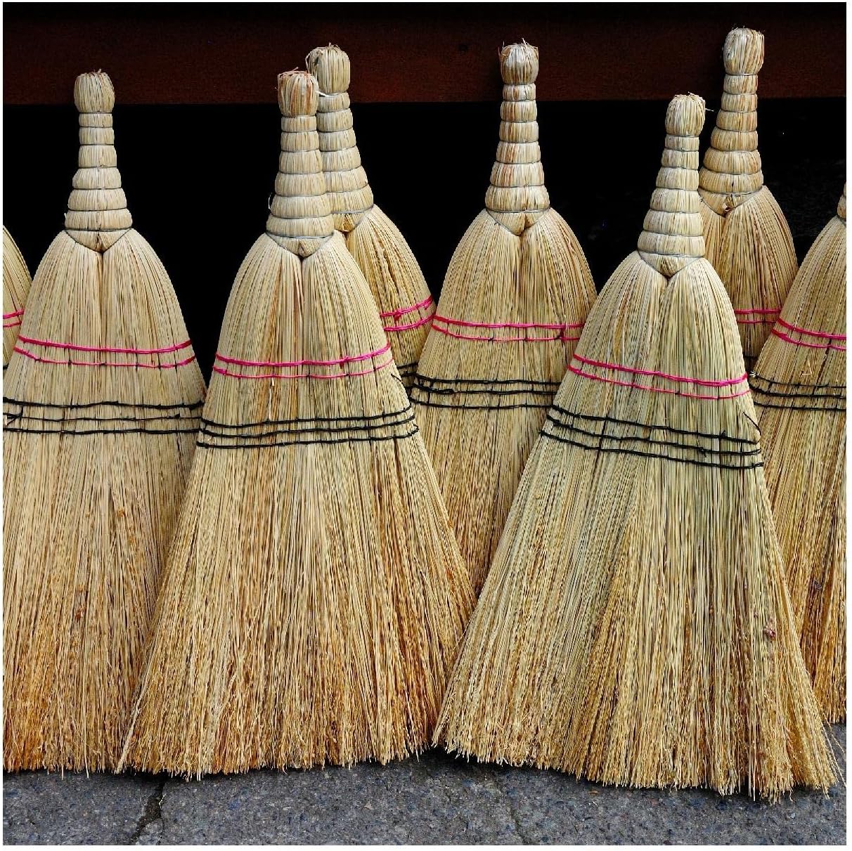 Everwilde Farms - 1 Lb Broom Corn Ornamental Corn Seeds - Gold Vault