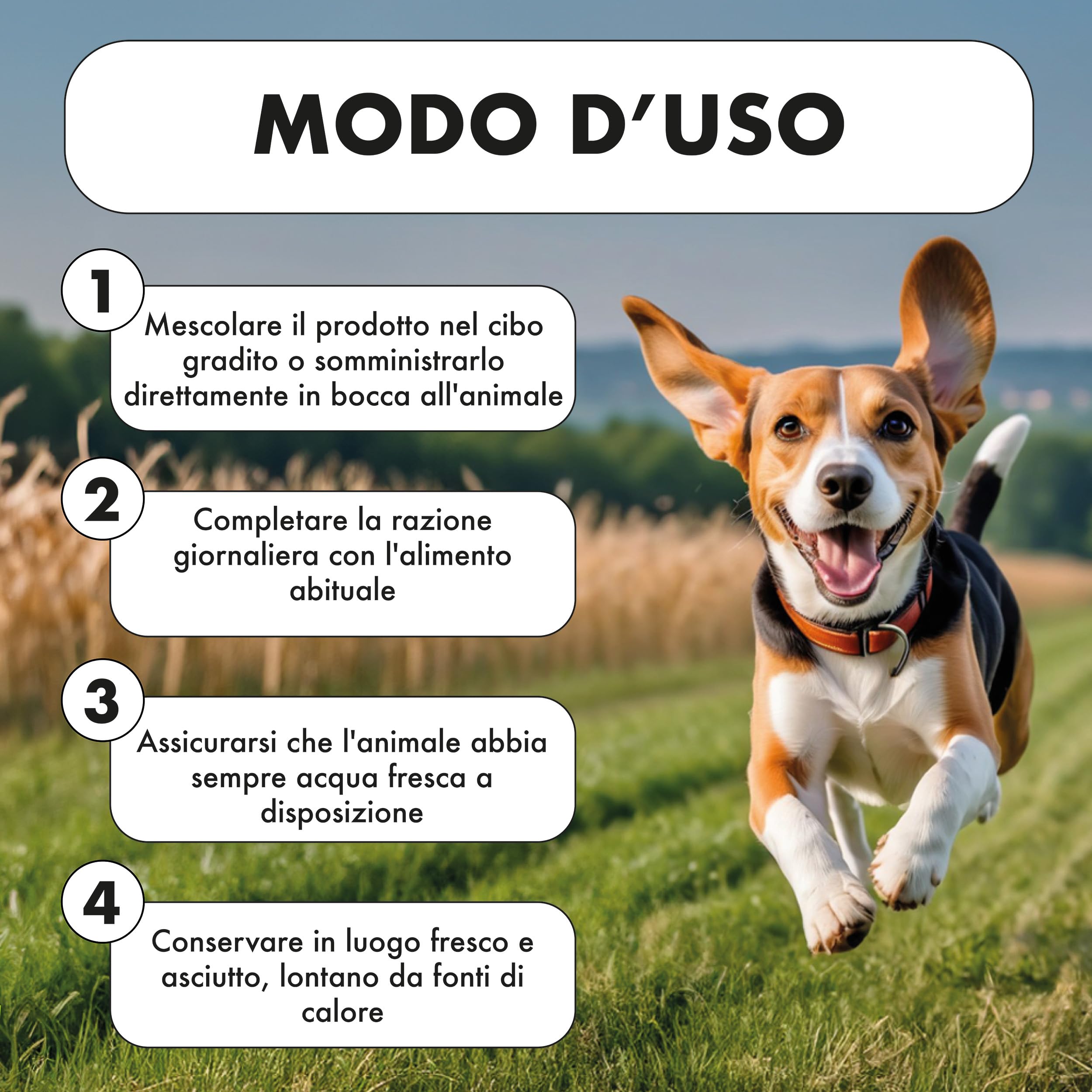 Pharmacinquepet – VIGORBEN Integratore Per Cani E Gatti, Mantiene La Massa Muscolare, Migliora La Forza E La Resistenza, Previene Gli Infortuni. Alta Appetibilità. 60 Compresse.