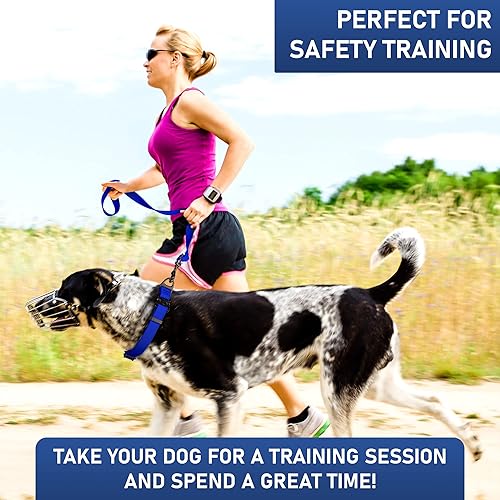 Miniatura 7 de Biothane - Correa para perro extra resistente, fabricada en Estados Unidos, correas impermeables para perros grandes, medianos y pequeños, correa de