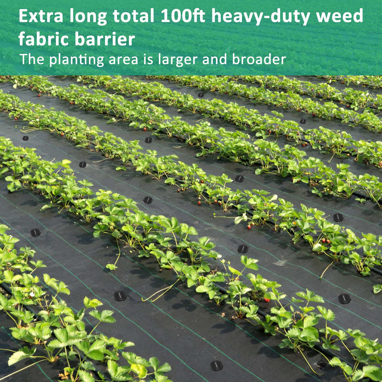 Sitemapcdatahttpsautocellcare1comstakes For Weed Barrier