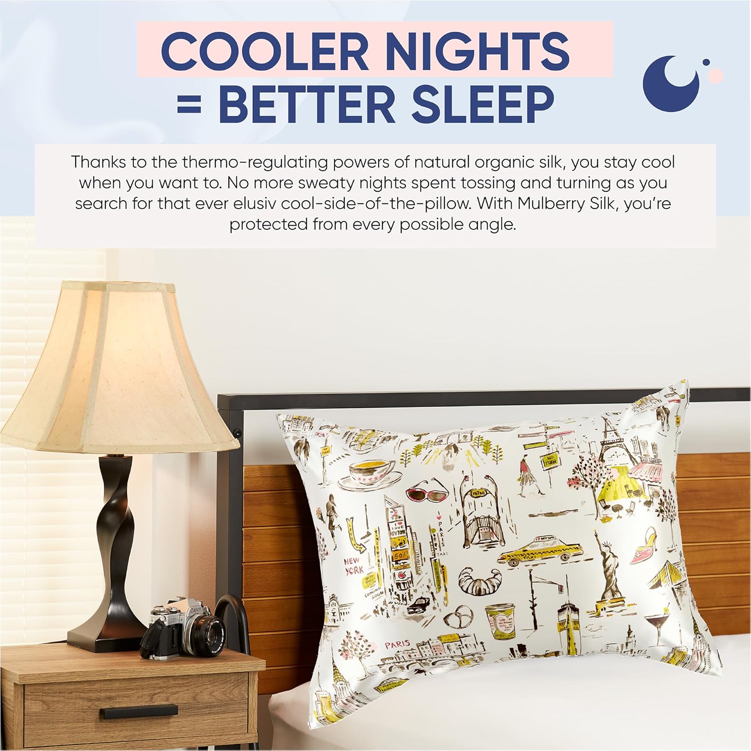 Blissy Silk Pillowcase - 100% Pure Mulberry Silk - 22 Momme 6A High-Grade Fibers - Silk Pillow Cover for Hair & Skin - Regular, Queen & King (Nicole Miller - NY to Paris, Queen)