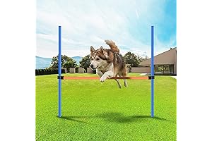 PAWISE Agility Training Equipment - High Jump Bar