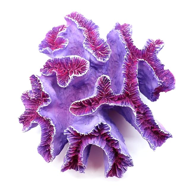 Foto 8 de 8 de Besimple Adornos de Coral para Acuario, decoración de Plantas de pecera, decoración para Paisaje de Acuario