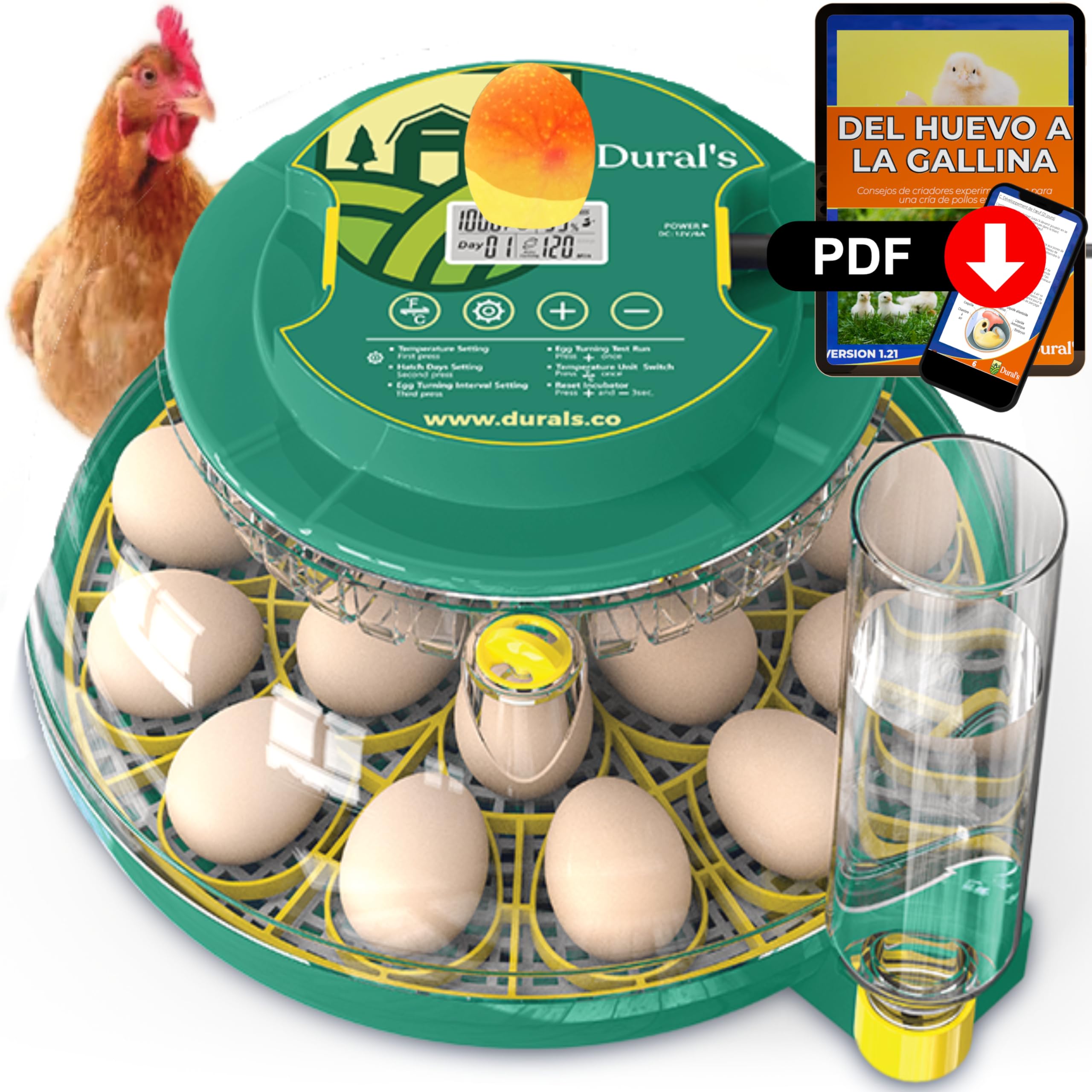 Dural's DX5® | Incubadora Huevos Gallina Automática | Certificada CE | Temperatura precisa y control de humedad | Hasta 18 huevos de gallina, codorniz, pato | Volteo automático | Fácil de limpiar |