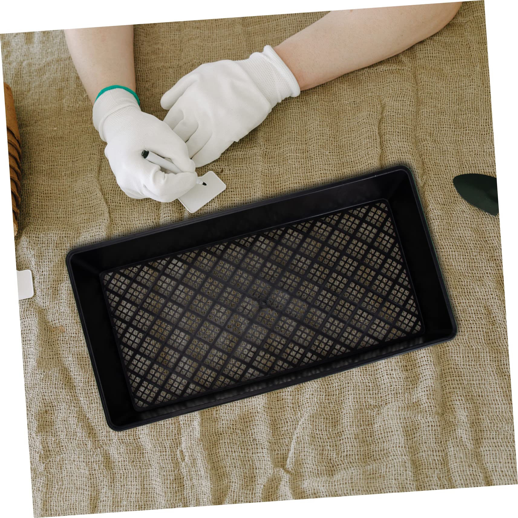 ABOOFAN 6pièces Plateau De Germination De Plantes Conteneurs De Germination Plastique Plateaux De Pépinière pour Culture De Micro-pousses