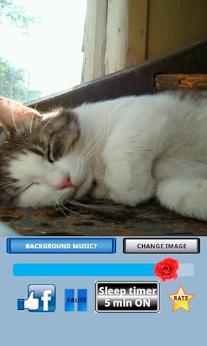 Meditação relaxar música