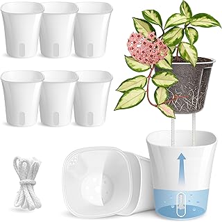 8 Pack 4" Self Watering Pots for Indoor Plants, Clear Inner Cup, Small White