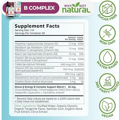 Miniatura 4 de Gotas líquidas complejas de vitamina B – Suplemento orgánico para mujeres – Formas veganas y sublingues de B1 B2 B3 B5 B6 B12 Biotina Folato y