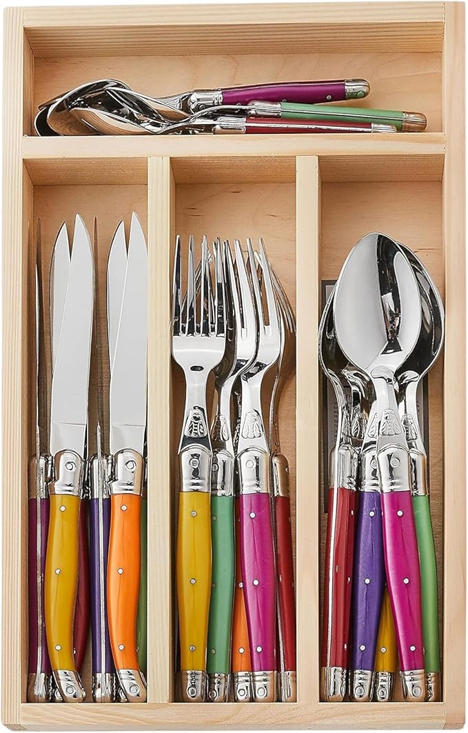 Jean Dubost JD07-13154.FRUITY 24 Piece Everyday Flatware Set With Handles In a Tray, Multicolored
