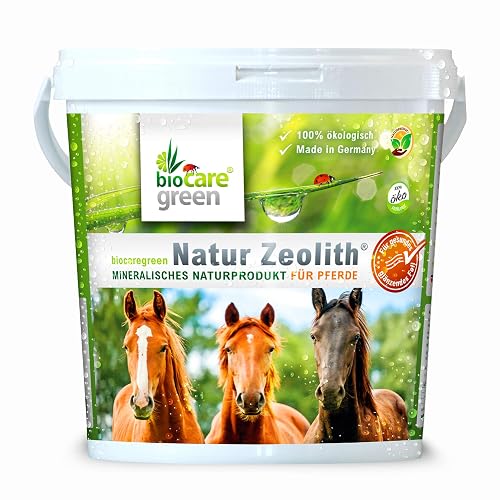 Caballo de zeolita natural