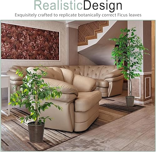 Miniatura 6 de Paquete de árbol de ficus  Paquete de árbol de ficus de 4 y 6 pies en maceta de metal de cobre  Decoración de plantas  Decoración para el hogar,