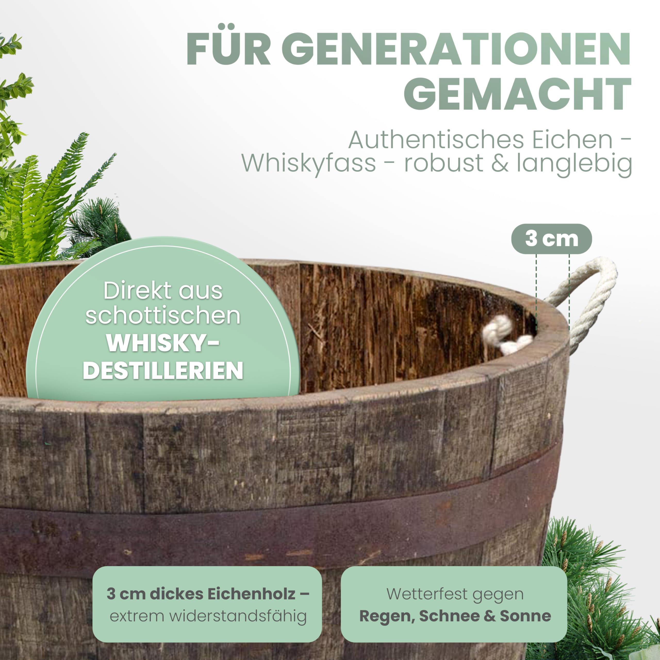 Temesso Halbes Fass aus einem originalen schottischen Whiskyfass (Natur - mit Schlaufen + Rollen + Ablaufbohrungen)